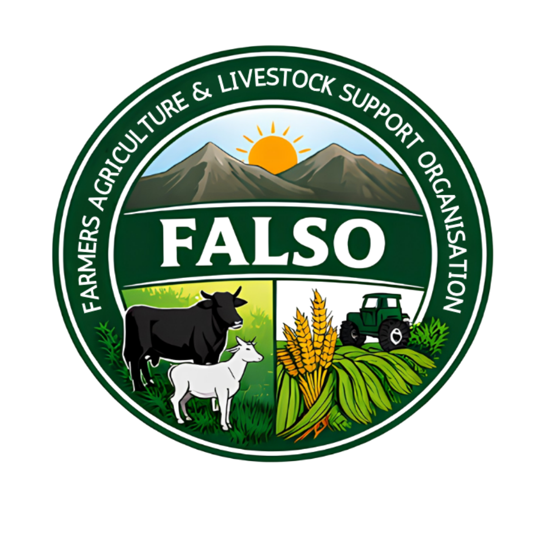 FALSO Logo